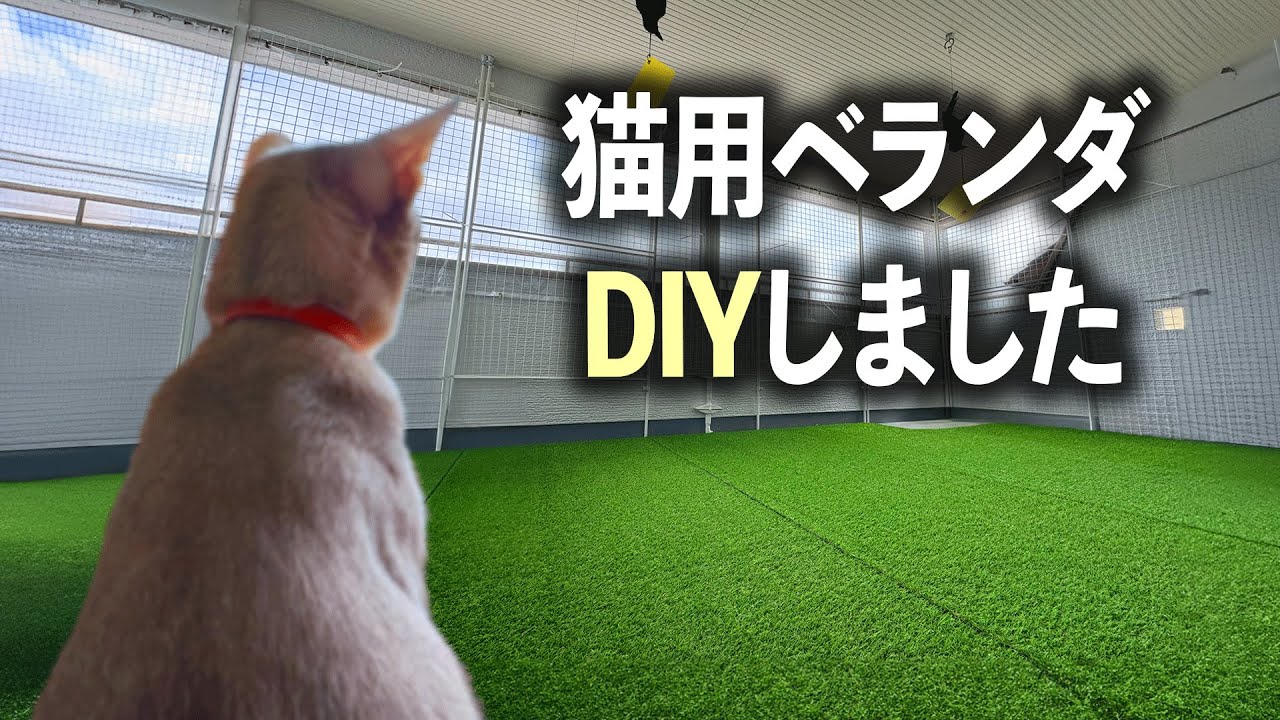 【簡単DIY】猫が遊べるベランダスペースを作りました！【脱走防止】