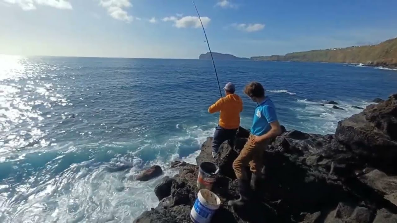 Sargo fishing / Pesca sargos ilha Terceira / Diplodus sargus
