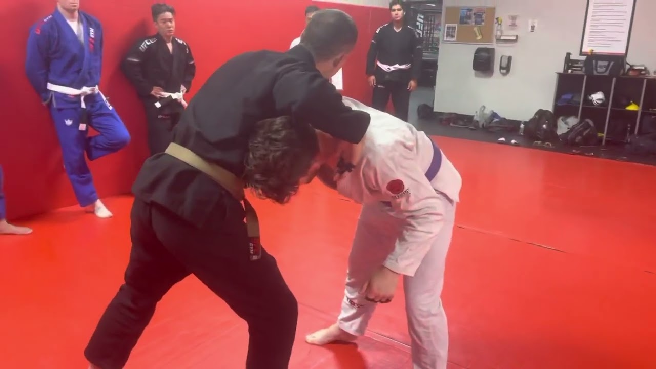 Snap down into standing guillotine