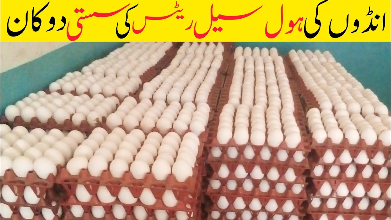 Egg Price In Pakistan Today l Egg Wholesale Market Rate Today In Rawalpindi  2023