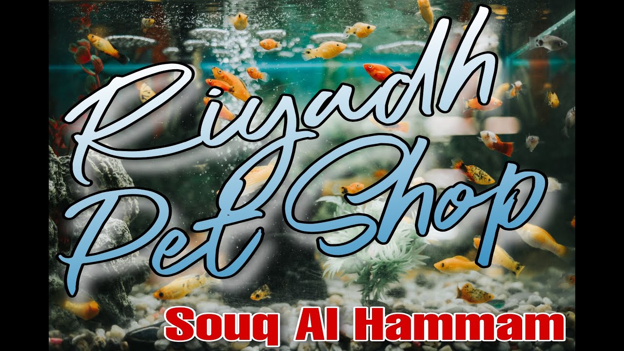 Riyadh Pet & Animal Market | أسواق الحيوانات العشوائيه - سوق الحمام | Souq Al Hammam