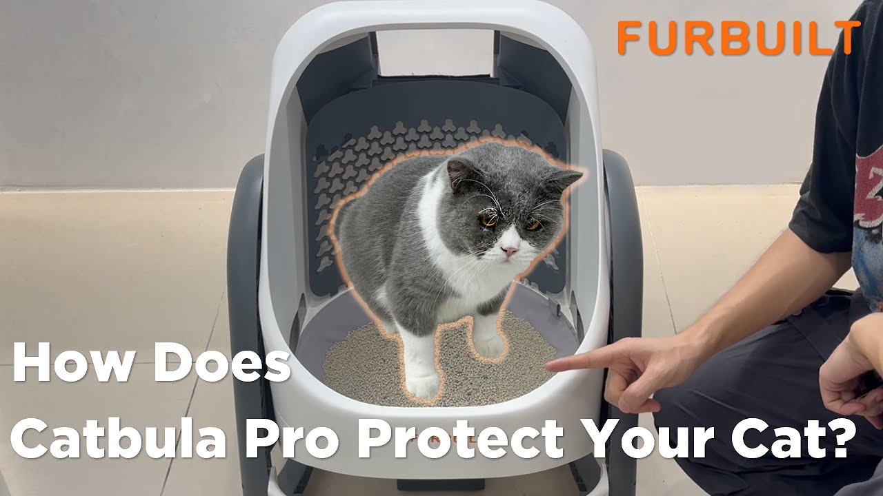 How Catbula Pro Protects Your Cats Through Its Triple Protection Mechanism