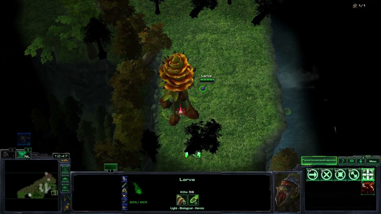 Starcraft 2 Arcade Map Evolution of the Zerg - Essence of Life #4