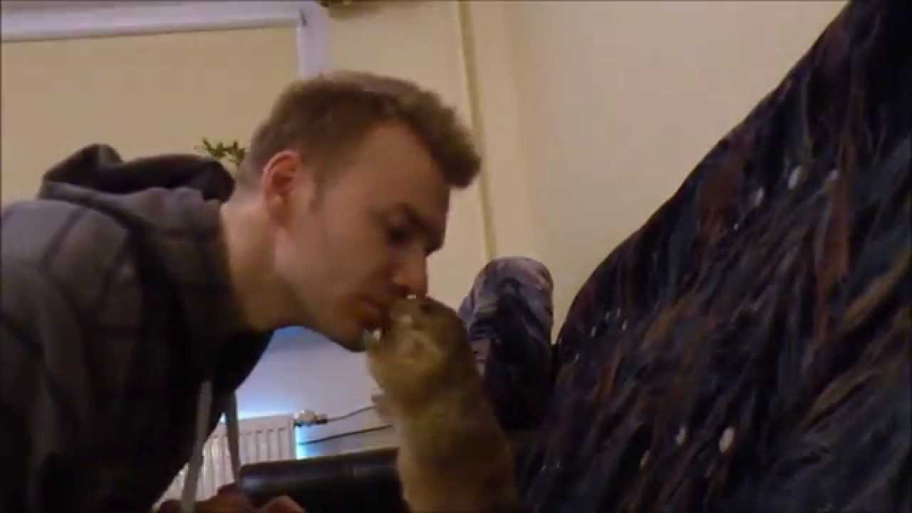 Prairie dog being sweet