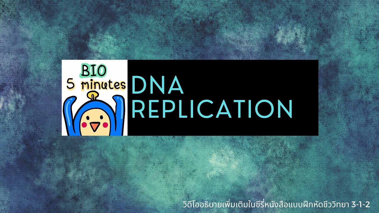 DNA replication
