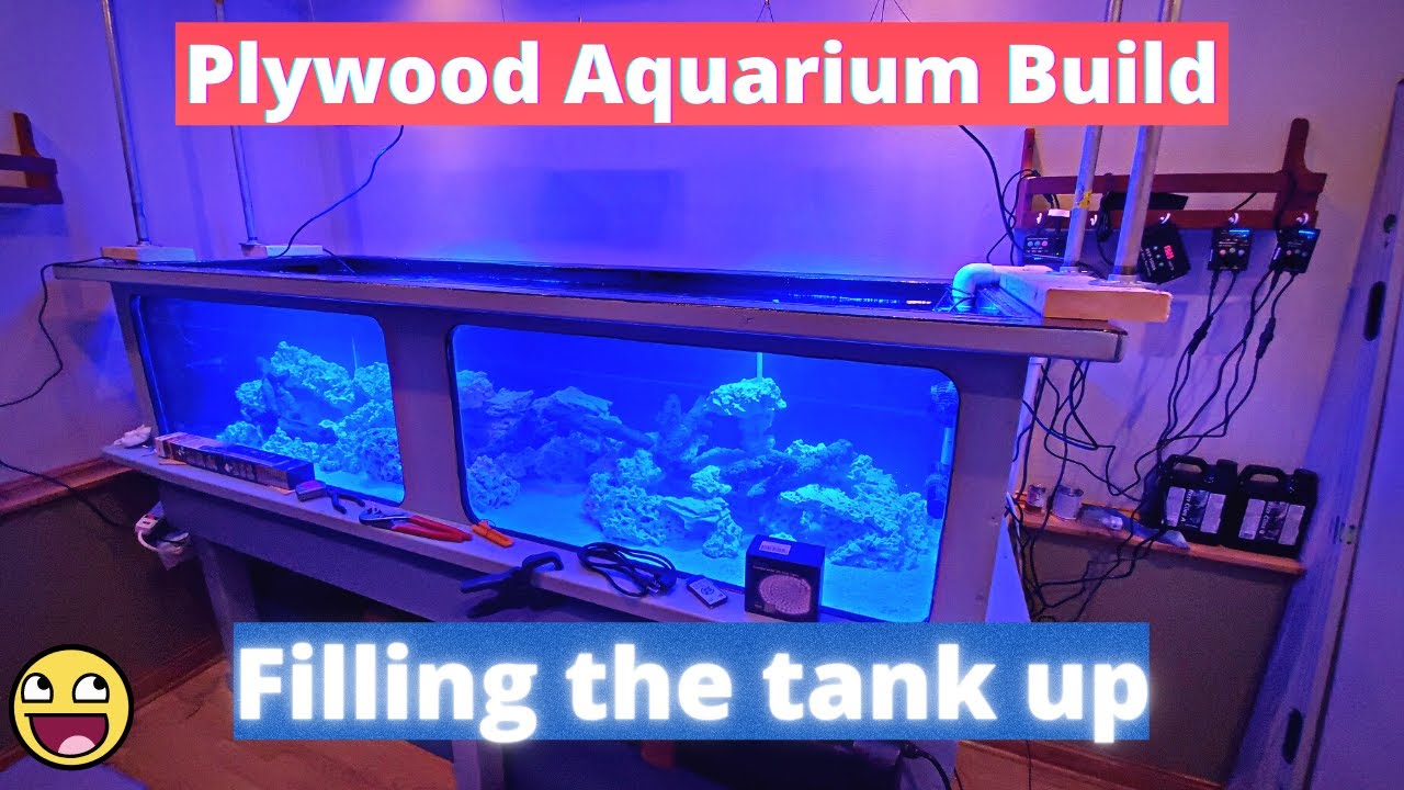 Filling a 300 Gallon Aquarium - Plywood Aquarium Build