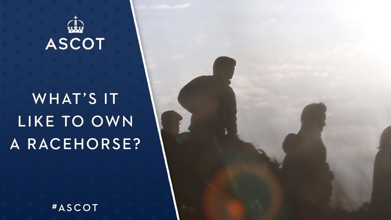 What's It Like to Own A Racehorse?