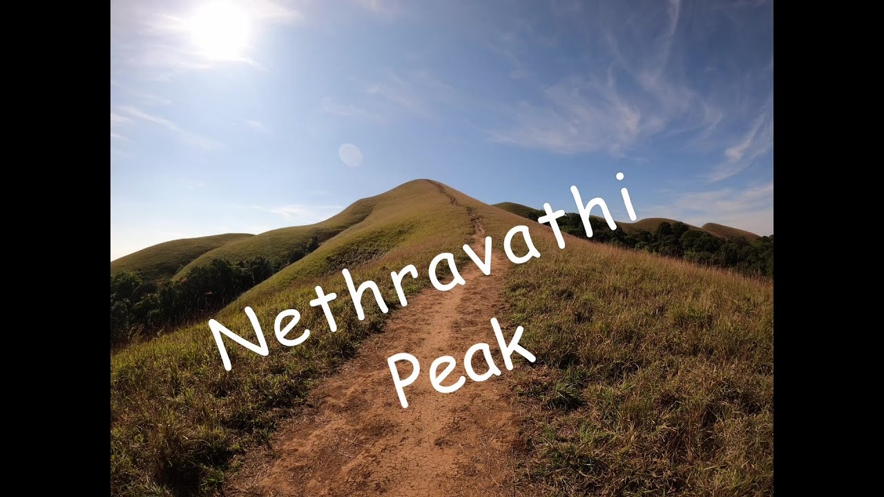 Nethravathi Peak - Nethravathi River Birth Place #chikmagalur #nature
