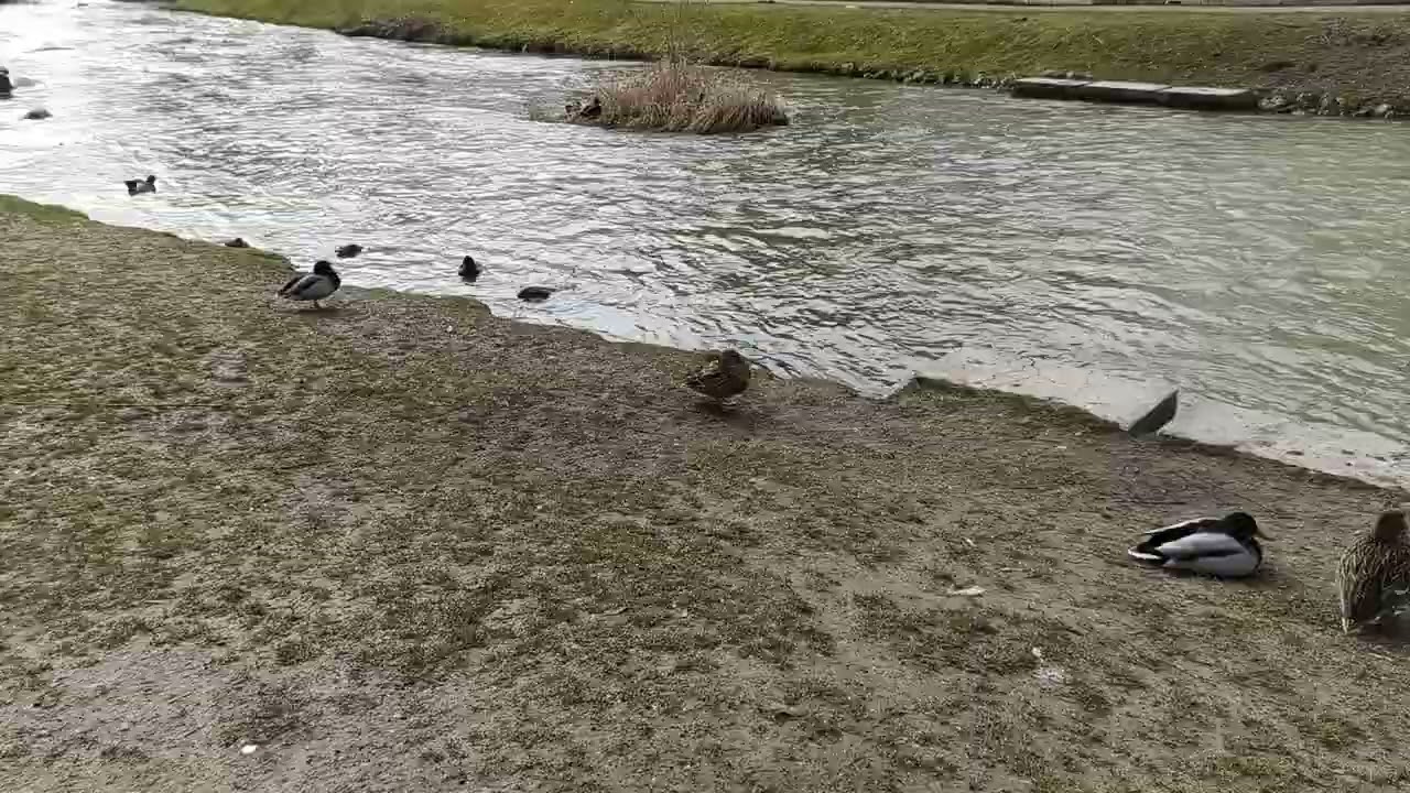 #ПрироданаЮтуб#NatureonYouTube#NaturalezaenYouTube#NaturesurYouTube#NaturezanoYouTube#AlamdiYouTube