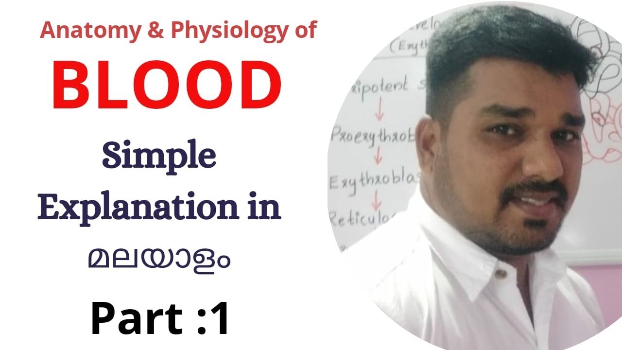 Blood- Plasma & Rbc Explained in Malayalam (Part 1)