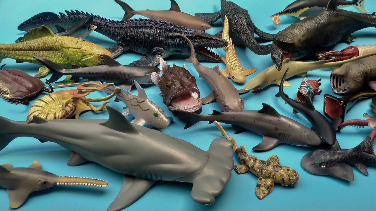 Hewan Laut Purba, Ikan Hiu, Hewan Laut Dalam, Mosasaurus, Plesiosaurus, Ammonit, Trilobita