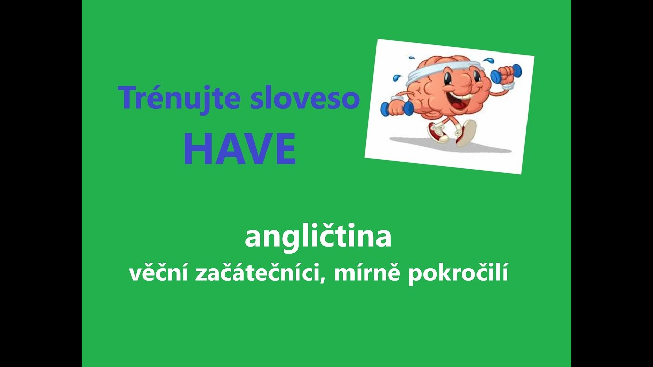 Procvičujte sloveso HAVE ve větách.  Cvičení angličtiny - věční začátečníci, mírně pokročilí