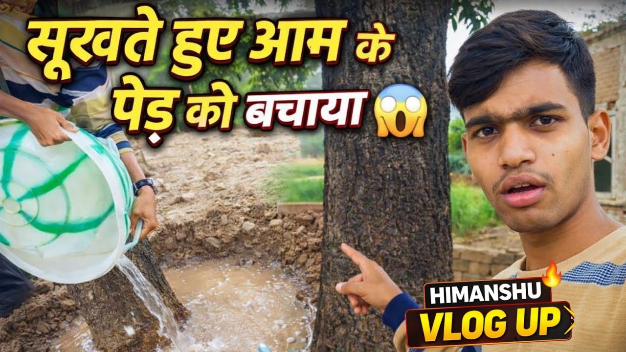 सूखते हुए आम के पेड़ को बचाया 😱 | Village Vlog आज एक आम का पेड़ बचाया ❤️ | Himanshu Vlog Up