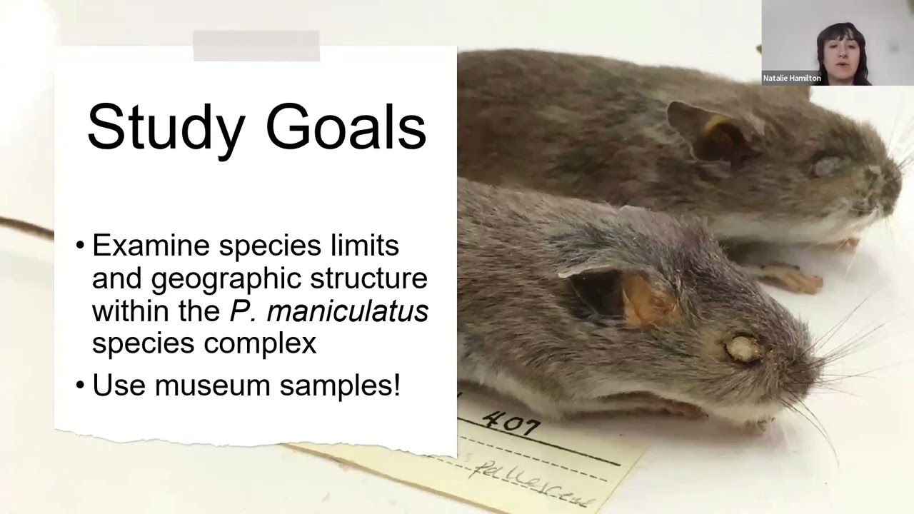 The power of archived samples in conservation with Dr. Natalie Hamilton