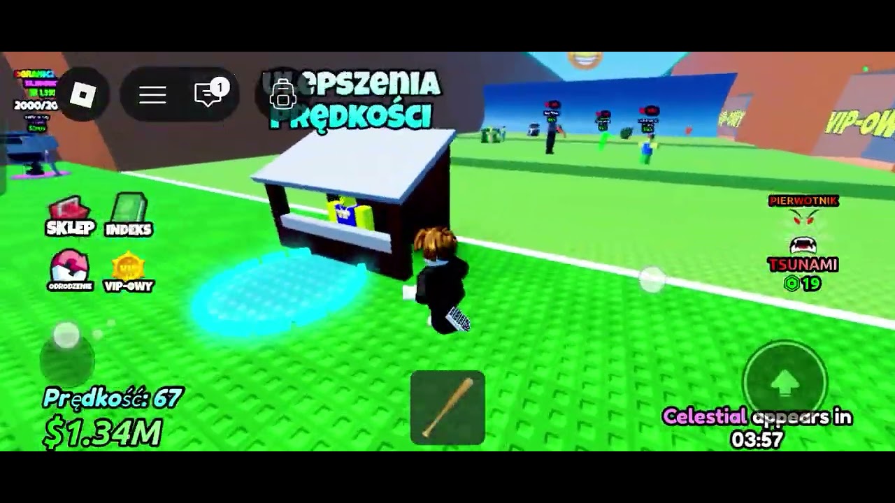 Gramy w tsunami w roblox