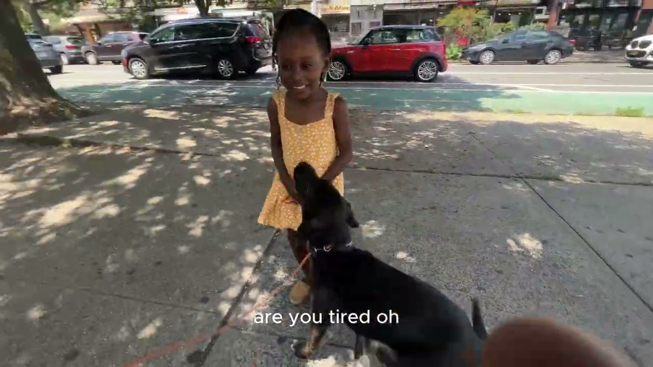 She Got Her Heart  Broken Walking Foster Puppy's in Daddy Daughter Time
