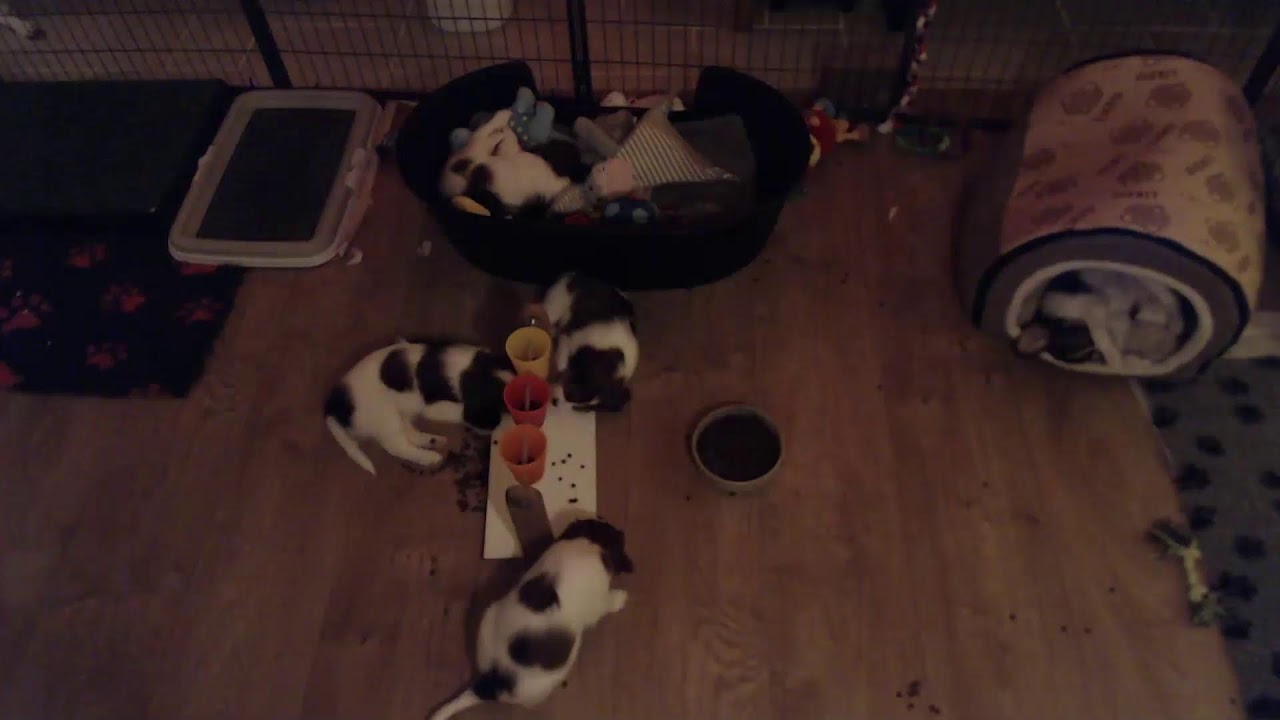 Donderdag 8 januari 2026.