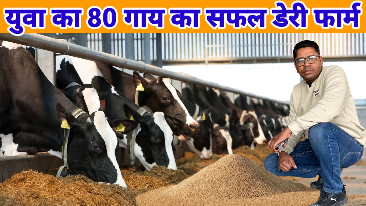  नया डेरी फार्म कैसे शुरू करें | how to start dairy farm in india | dairy farm video 