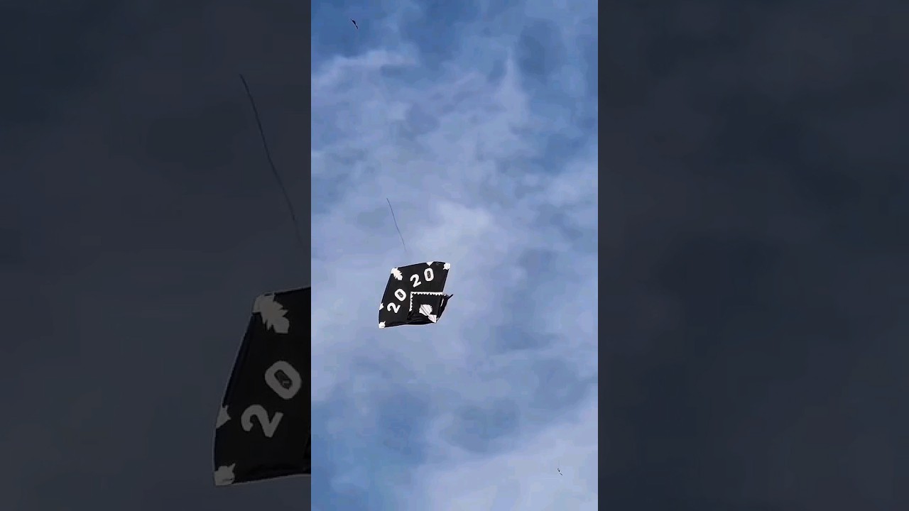 Kite flying scene basant 2024 election day basant #punjabi #hiphop #punjabisong #rawalpindi #kite