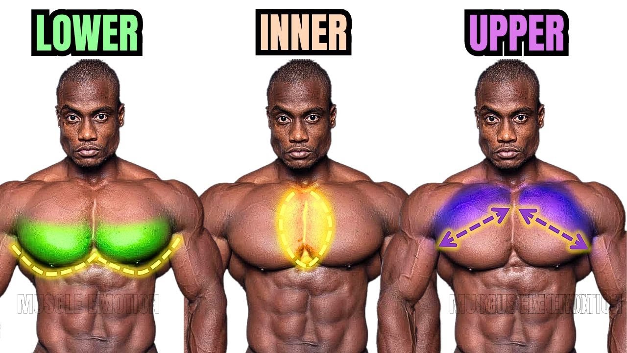 TOP 5 INNER ,LOWER AND UPPER CHEST WORKOUT AT GYM / Meilleurs exs Musculation poitrine .