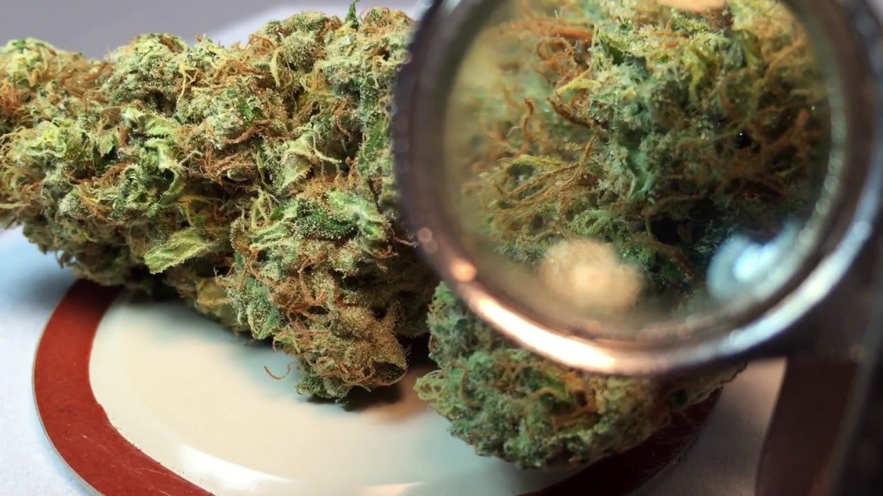 Cannabis Close Up - THC Snow