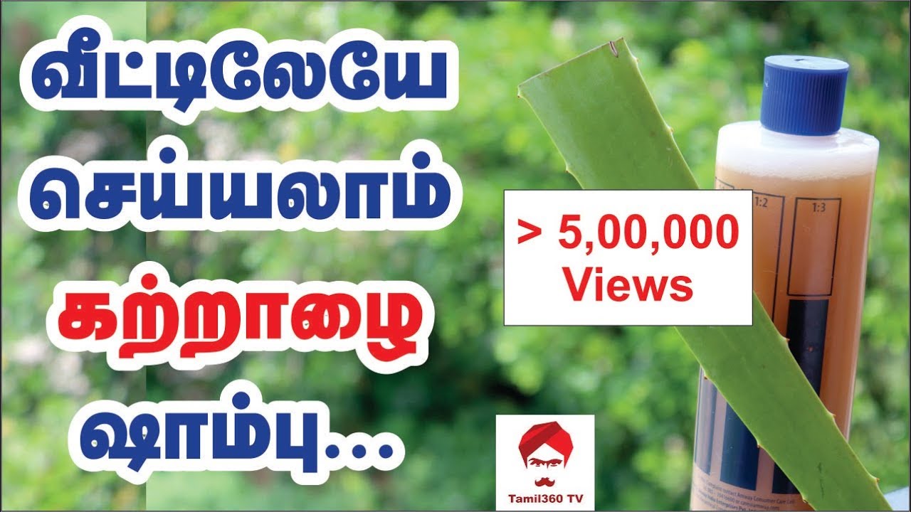 #Shampoo வீட்டிலேயே செய்யலாம் கற்றாழை ஷாம்பு || Homemade Aloevera shampoo