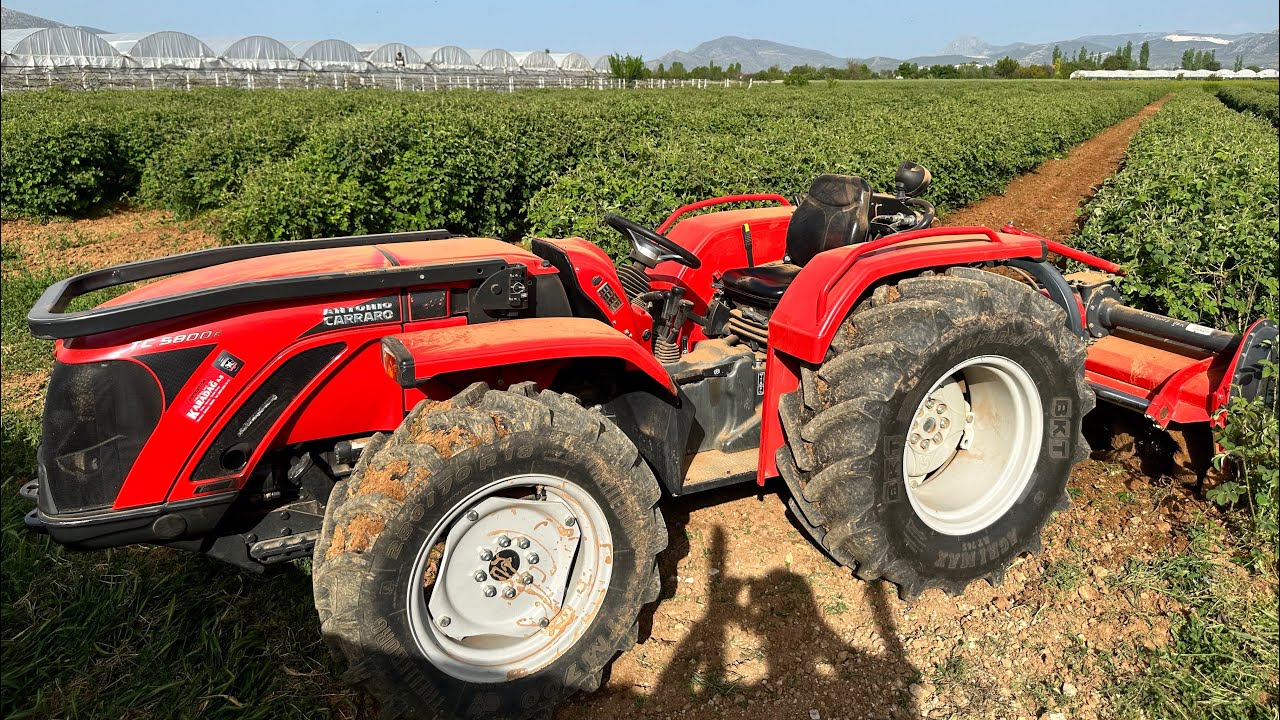 Antonio Carraro Tc5800f | Rotovatör Performansı | İtalyan Bahçe Traktörü İnceleme ve Kendi Yorumum
