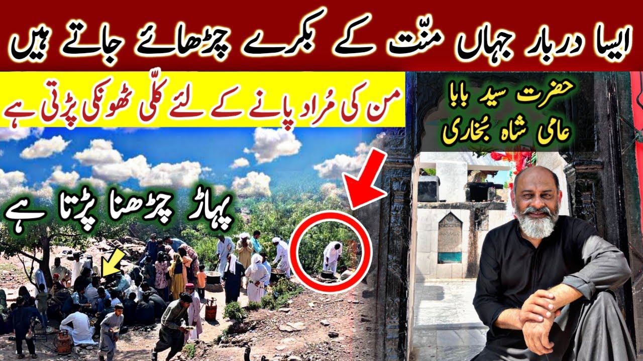 Amazing chila ghah of Aami shah sohawa pothohar/Mannat ka bakra /iftikhar iffi/ کلی ٹھوکو بکرا چڑھاؤ