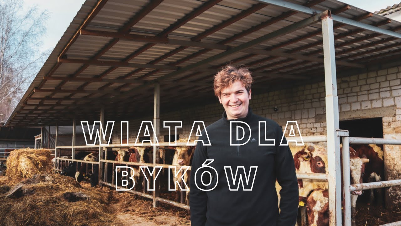 Dzień z życia rolnika #62- jak zbudowaliśmy wiatę na byki?