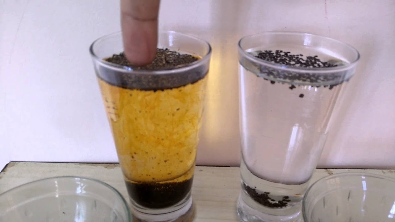 Beware of adultered Tea powder