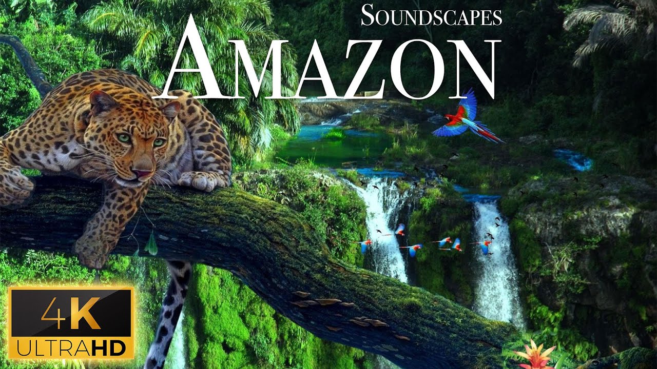 Amazon Rainforest in 4K – ASMR Nature Soundscape | Relaxing Background Ambience for Stress Relief