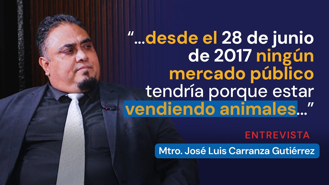 El proceso legal que puso fin a la venta de animales en el Mercado de Sonora | Entrevista