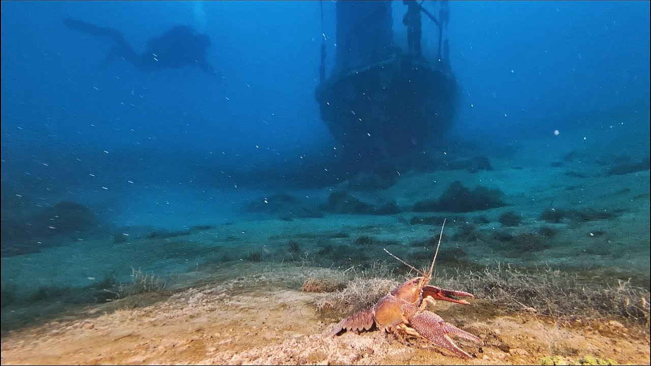 Tauchwochenende Sundhäuser See März 2023