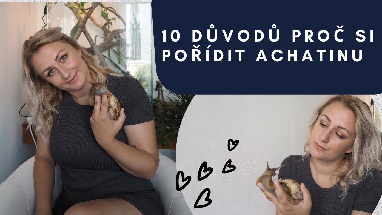 10 důvodů, proč si pořídit šneka jako domácího mazlíčka