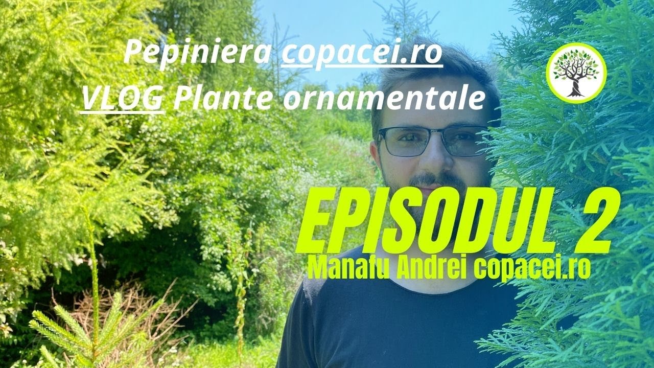 Pepiniera copacei.ro - VLOG Plante ornamentale ep2