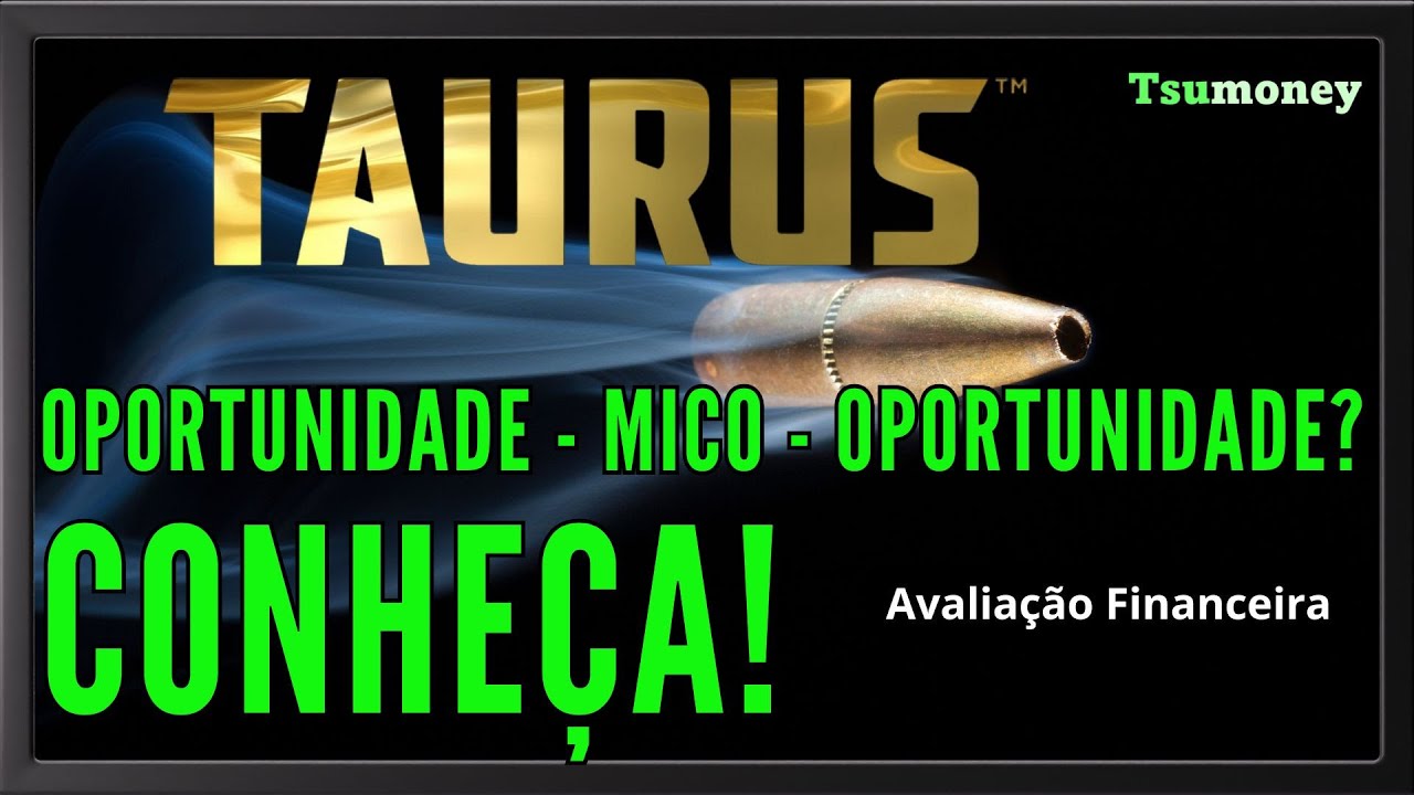 Vale a Pena Investir na Taurus (TASA3/TASA4)? (An&aacute;lise Financeira).