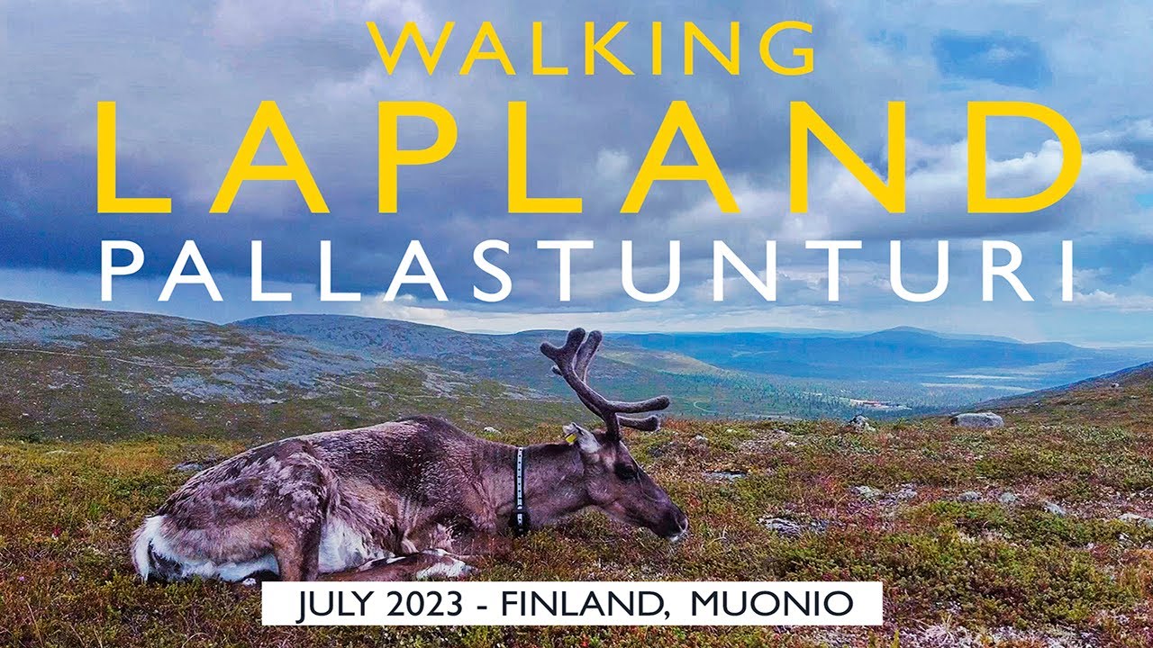 Lapland Walk: Pallastunturi Taivaskero Nature Trail, July 2023, Finland, Muonio [4K]