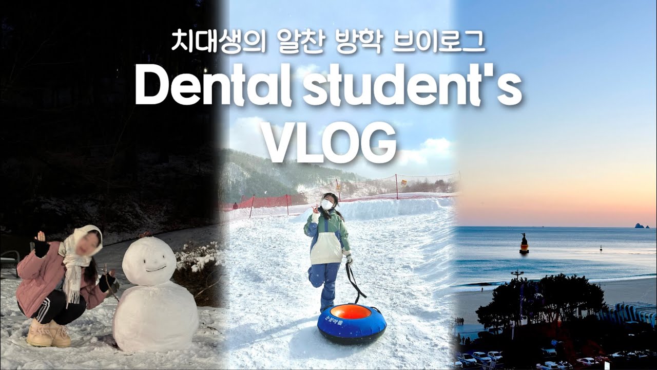 🦷 치대생은 방학에 뭐할까? | 대관령 봅슬레이 눈썰매 🛷 | 부산/대구 여행부터 대외활동까지 | 독서모임, 수강신청 | 인생 첫 찐 두바이 초콜릿! 🍫
