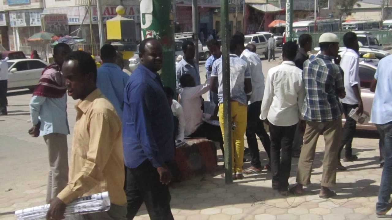 Candlelight (Youth Training and Employment Project)