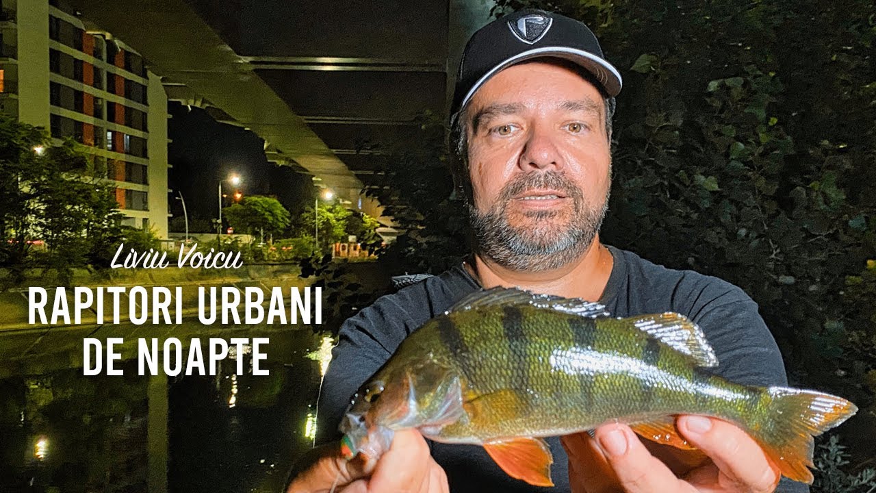 Pescuit la rapitori urbani - Street fishing cu montura drop shot kickback, pe raul Dambovita