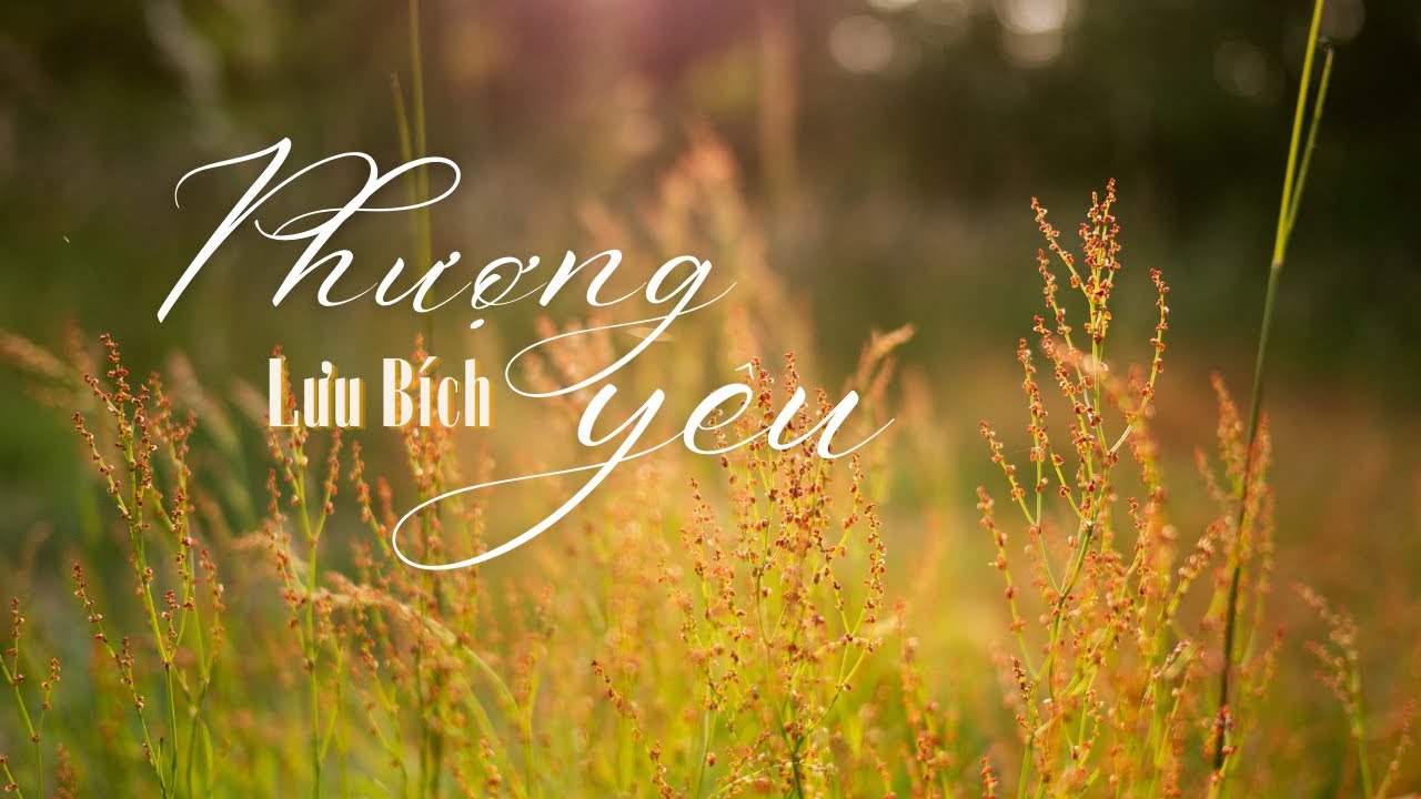 Phượng Y&ecirc;u (Lyrics, M&ugrave;a H&egrave; &Aacute;i &Acirc;n) ll Lưu B&iacute;ch / LV. Kh&uacute;c Lan