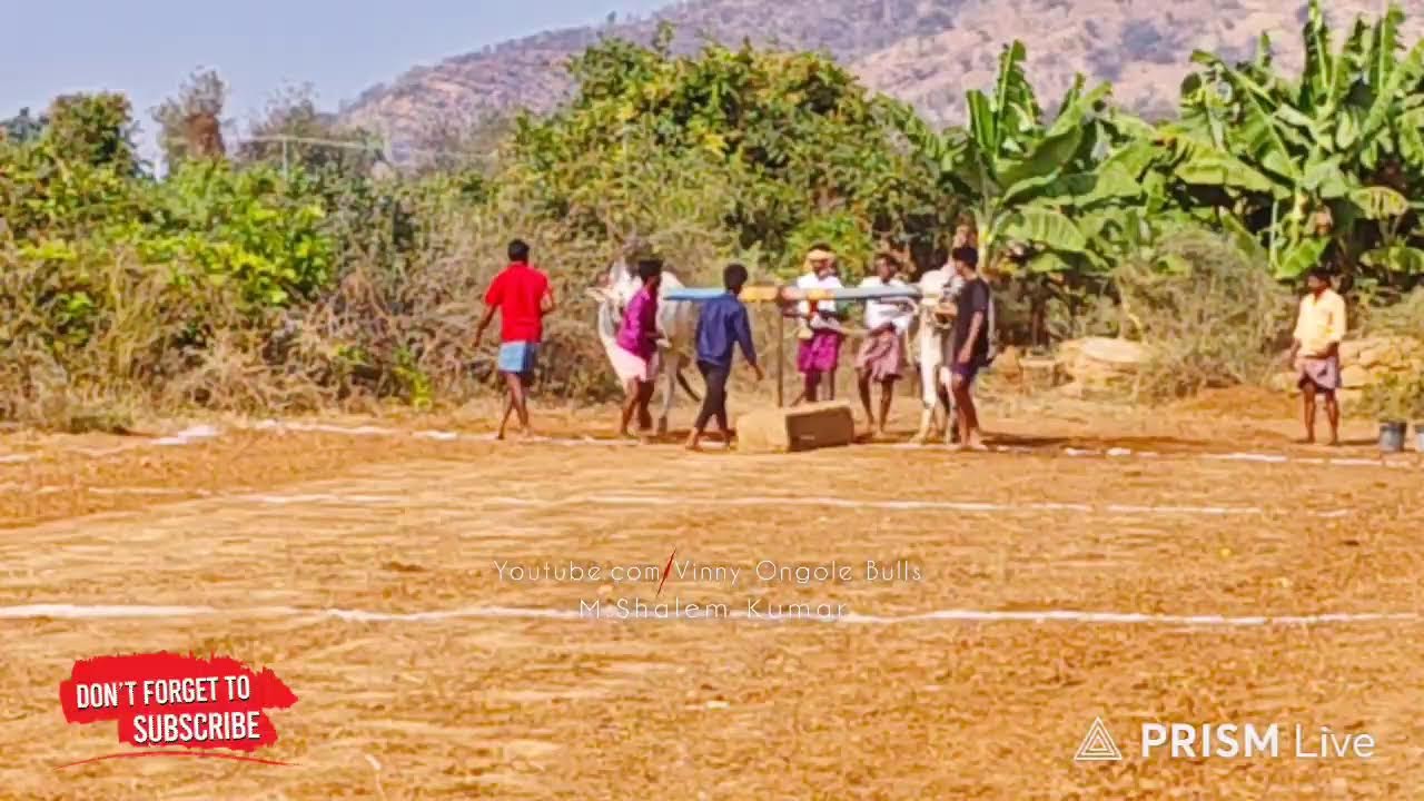 PR పల్లి  గ్రామం పాపిలి (మం) 4పళ్ళు 17వ జత  💥💥💥