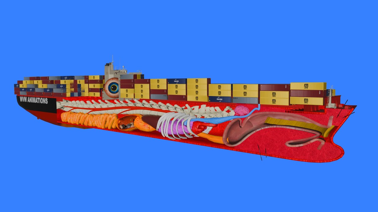 How a Ship Works