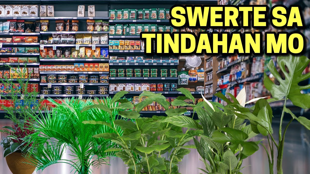 10 HALAMAN NA PAMPASWERTE SA TINDAHAN