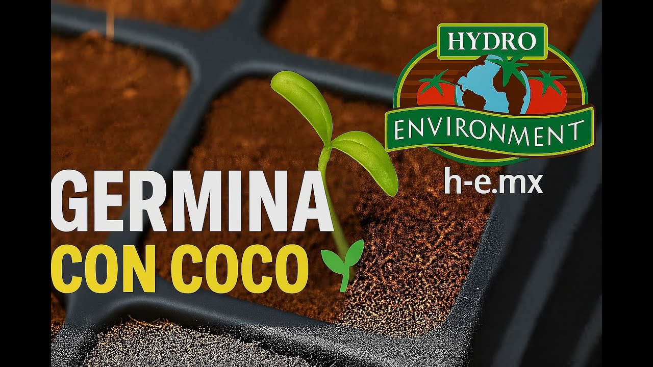 Fibra de coco para germinación 🌱 | Hidroponía práctica | Hydro Environment