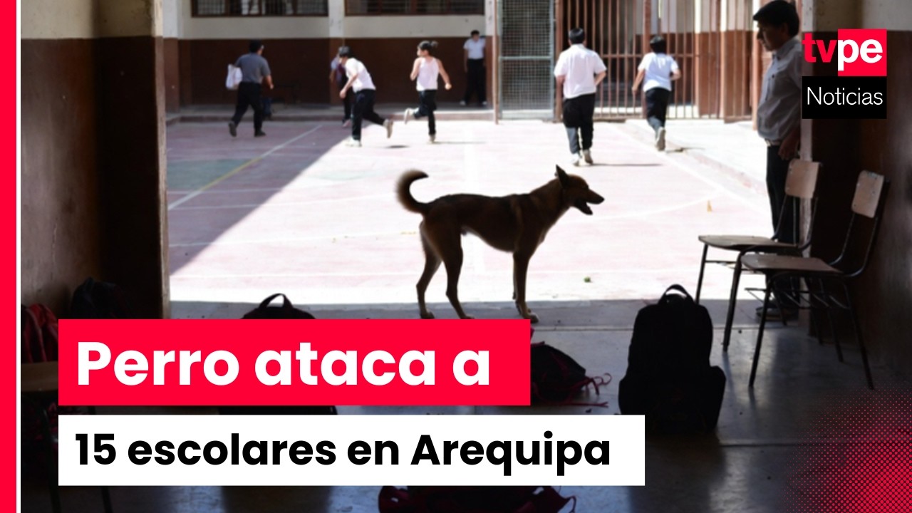 Arequipa: perro ingresa a colegio y ataca a 15 escolares
