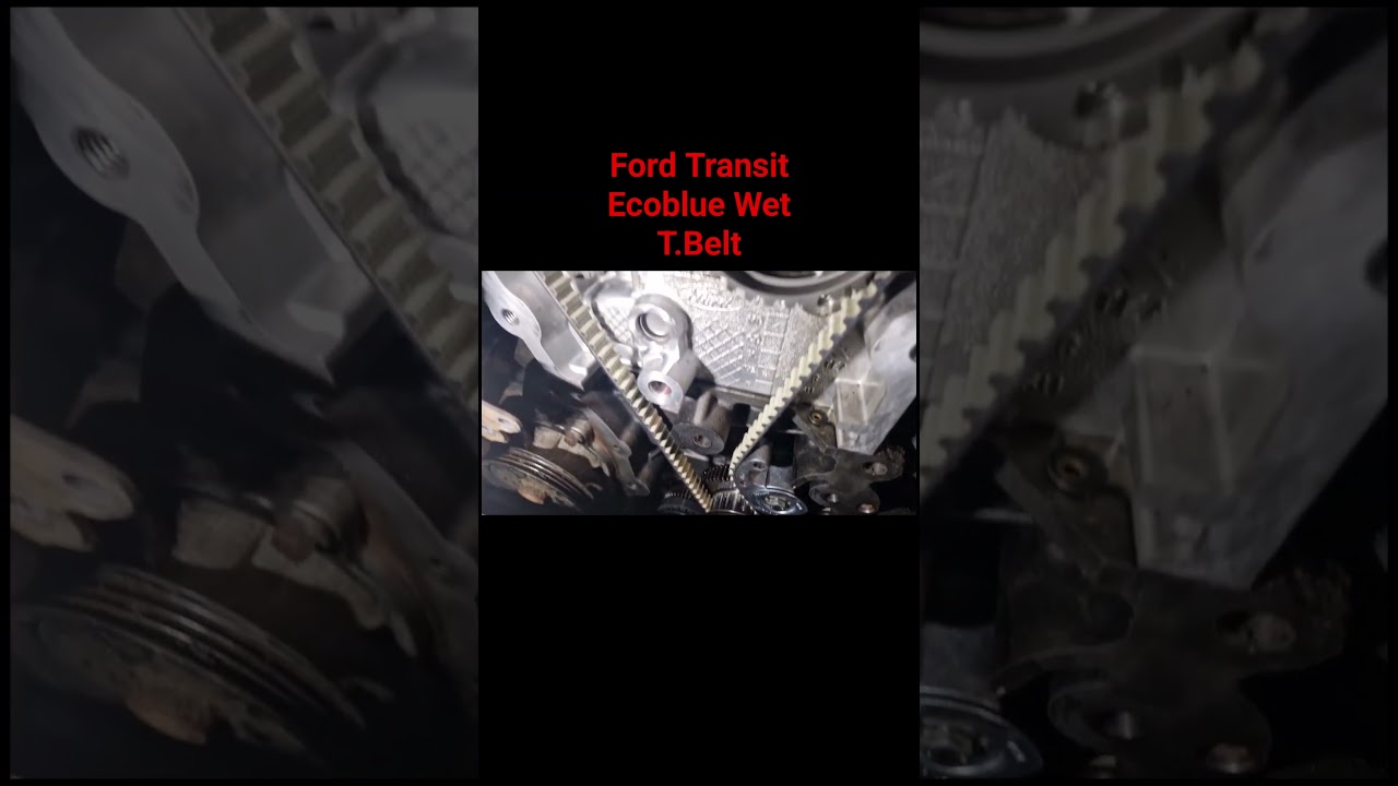 Ford Transit MK8 Wet Timing Belt 