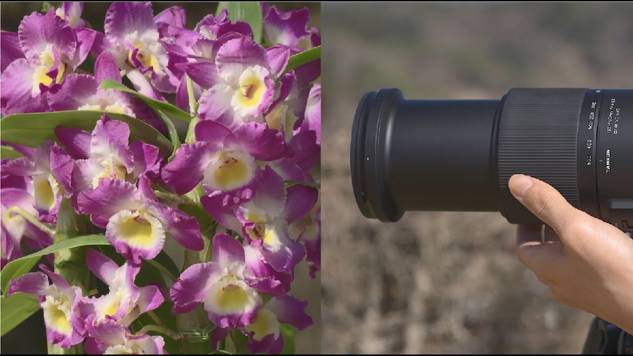 TAMRON 150-500mm F5-6.7 (Model A057) The arc of rotation of the zoom ring is only 75&deg;