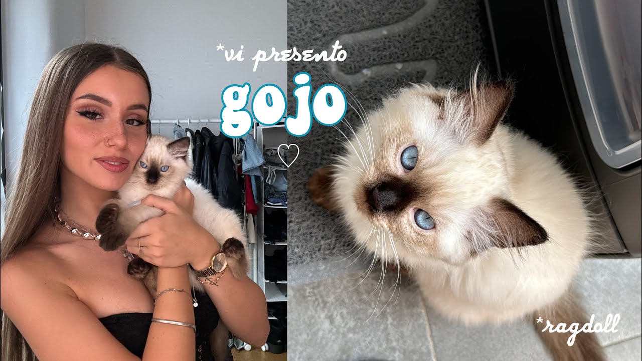 Ho Preso Un Gattino | vlog