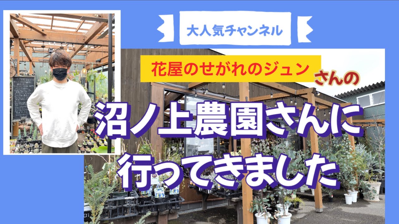 [園芸店巡り6]大人気チャンネル「花屋のせがれのジュン」さんの沼ノ上農園さんに行ってきました
